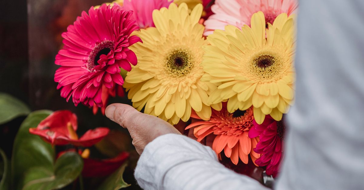 Best Flowers for Sending Cheer to Hospitalised Loved Ones