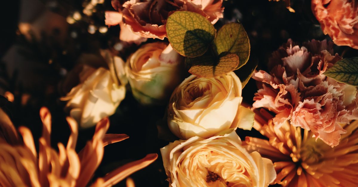 Comparing Prices of Same Day Flower Delivery Options in Newcastle