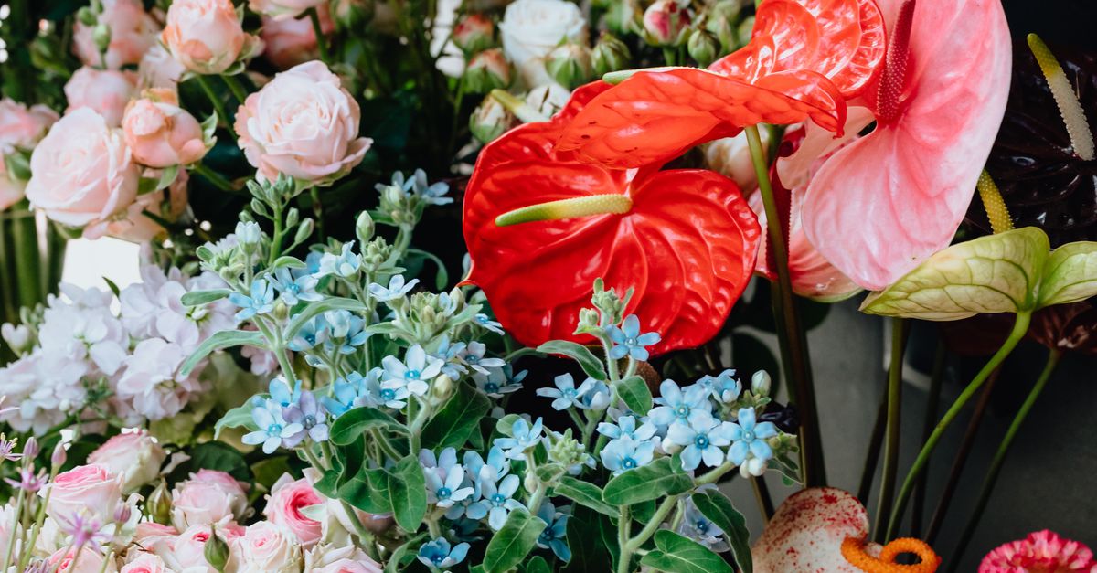 Elegant Orchids: A Touch of Luxury Delivered Today